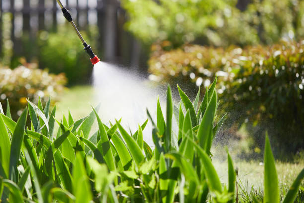 Tamper-Resistant Bait Stations for Rodents in Monticello
