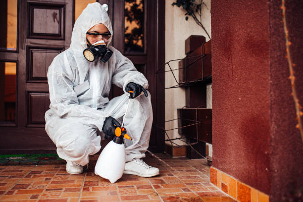 Attic and Crawl Space Rodent Treatment in Monticello